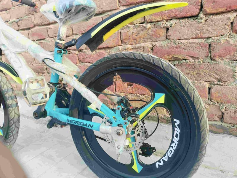 Morgan cycle 1