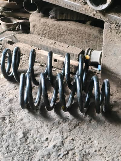Civic Prosmatec Rear Coil Springs 2001-2005