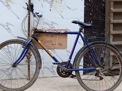 Bi Cycle
