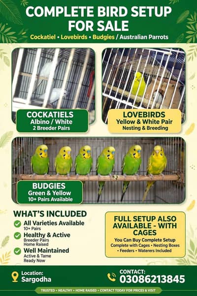 BIRDS for SALE