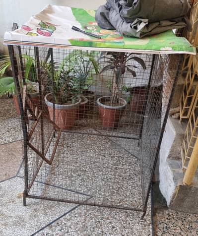 pigeon cage