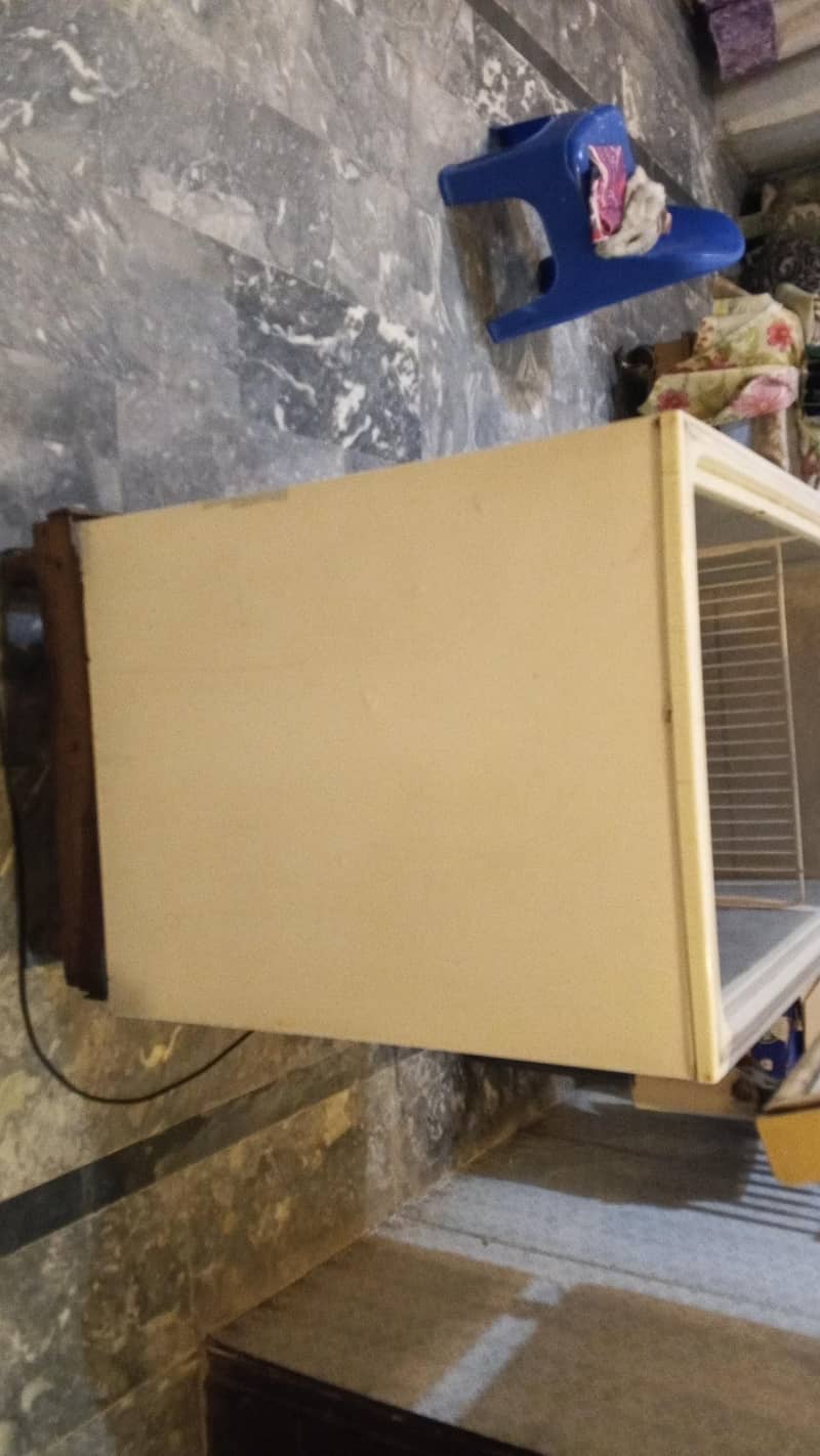 neat and clean condition 3