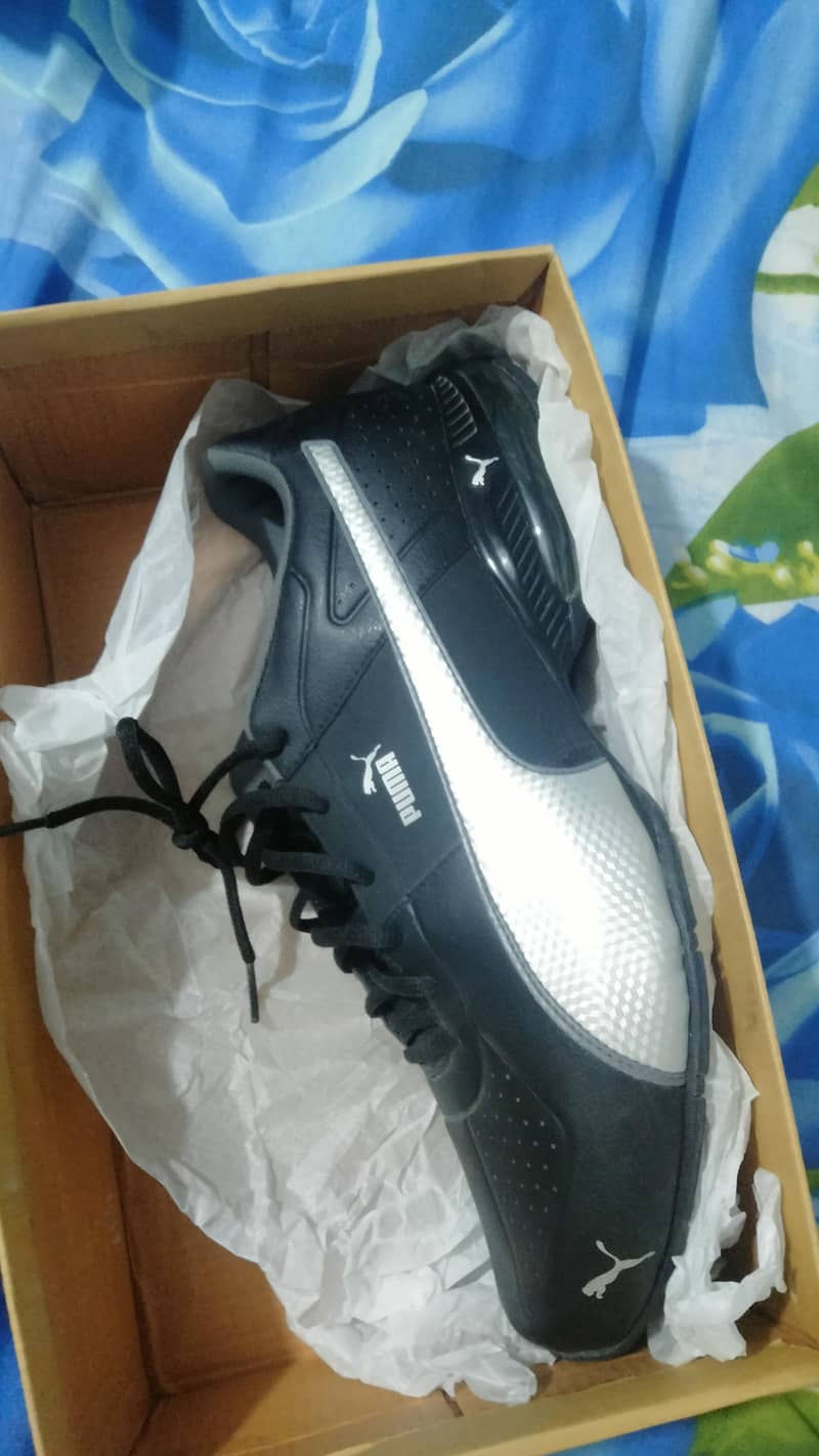 Shoes 1