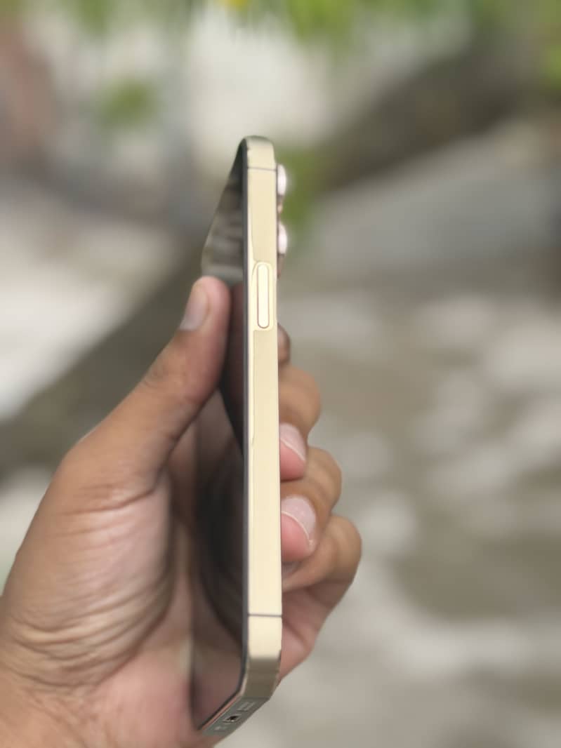 Apple iPhone 13 Pro 4
