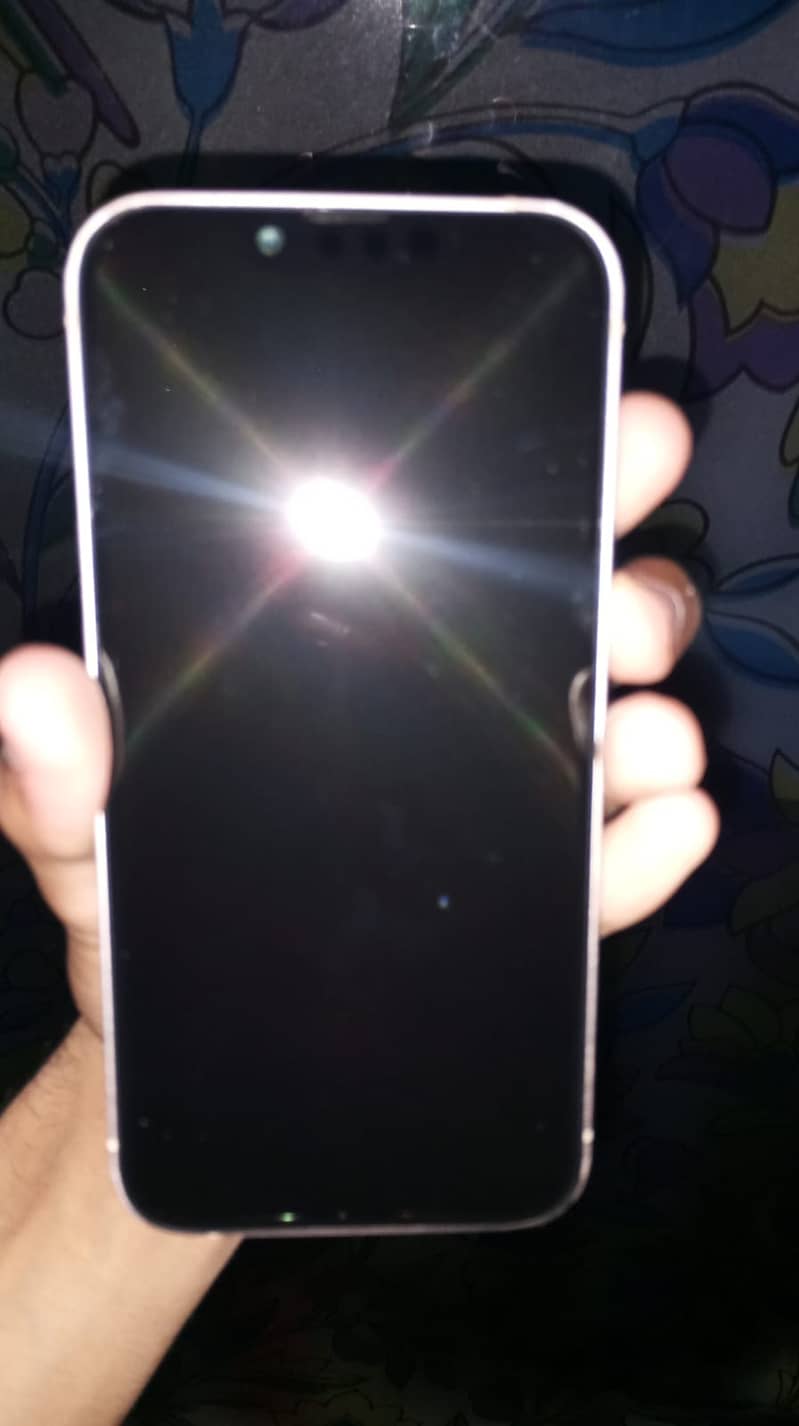 Apple iPhone 13 0