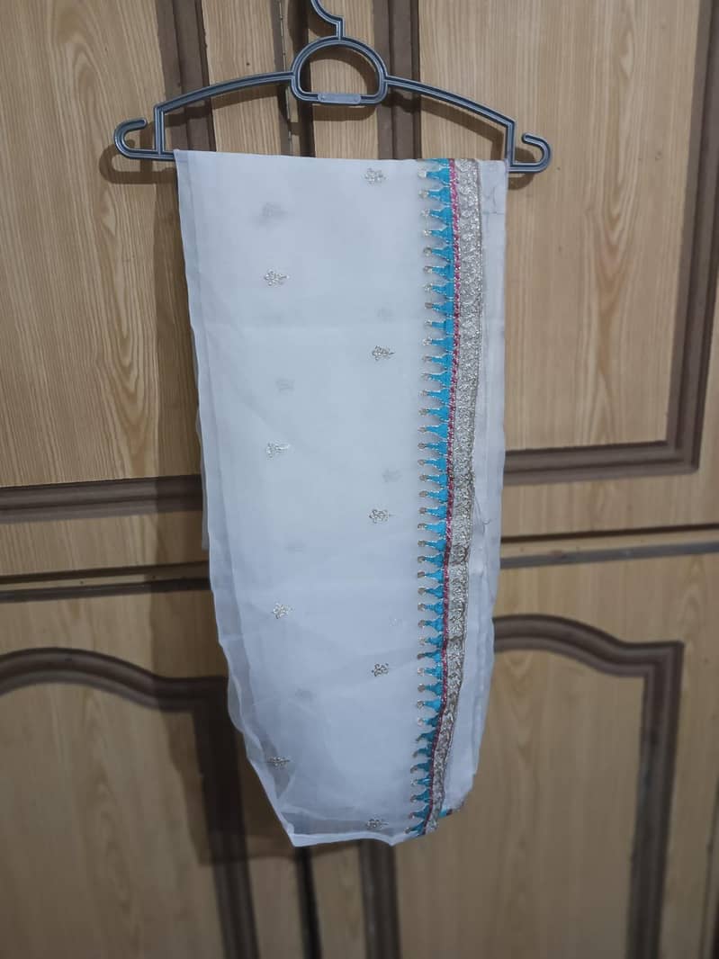 net +chiffon 1