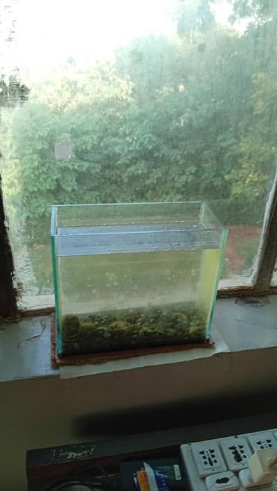 2 fish tanks for beginners