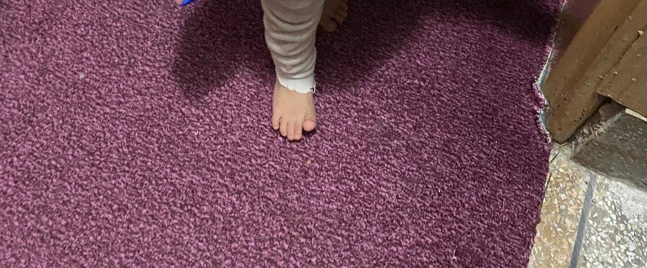 Carpet 0