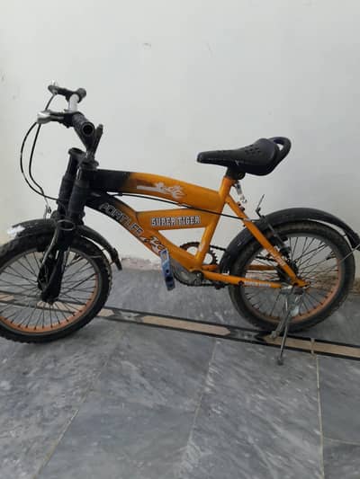 cycles 16 inch