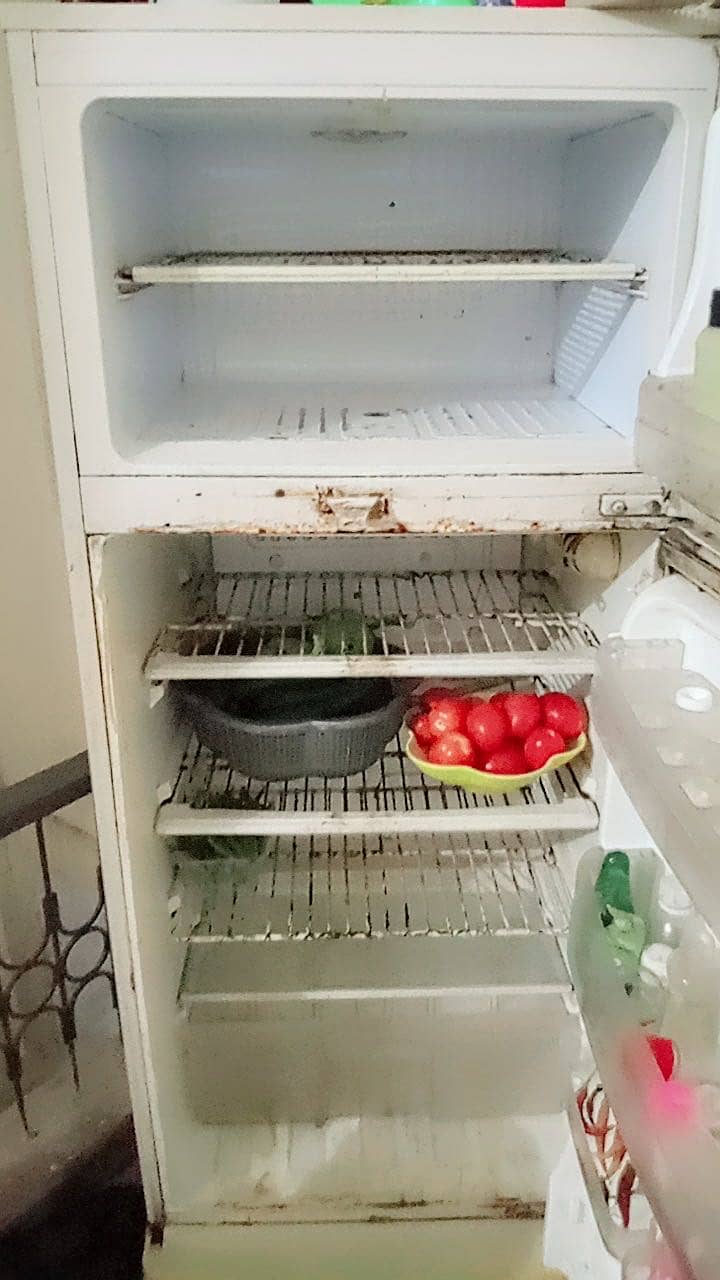 Mini Fridge 3