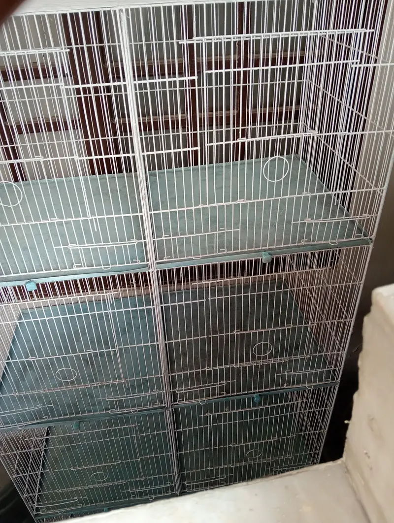 Cage 8 portion — photo 3
