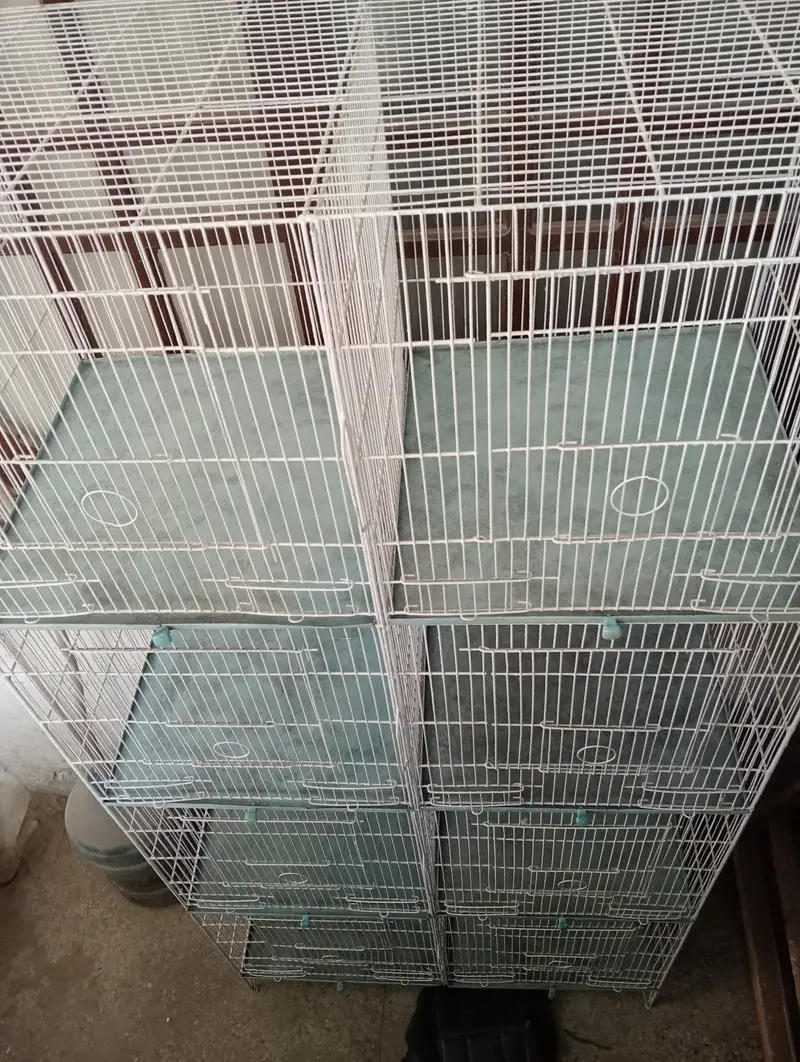 Cage 8 portion — photo 4