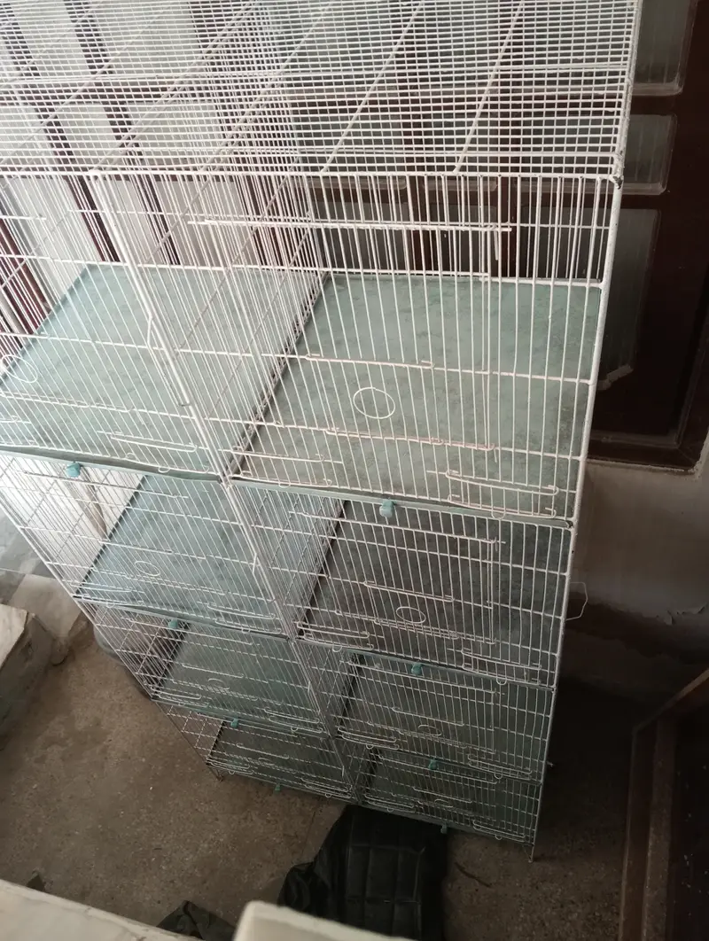 Cage 8 portion — photo 5