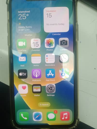 Apple iPhone X
