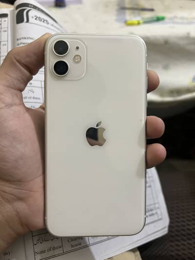 Apple iPhone 11 all ok