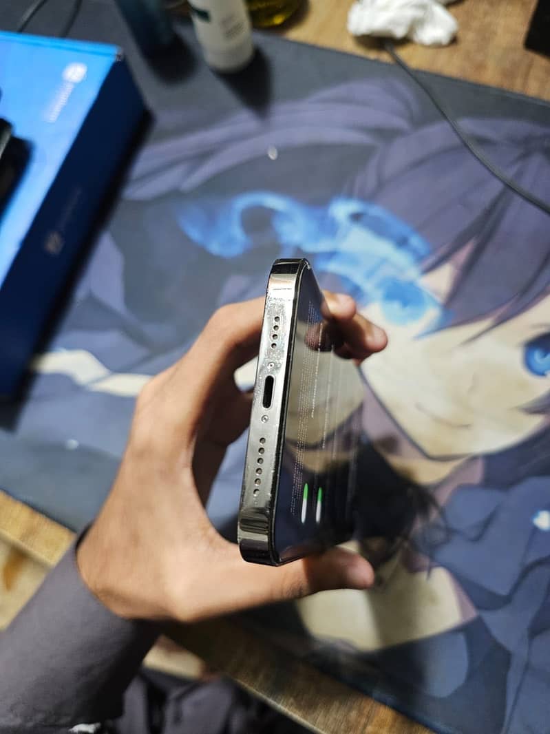 Apple iPhone 13 Pro Max 1