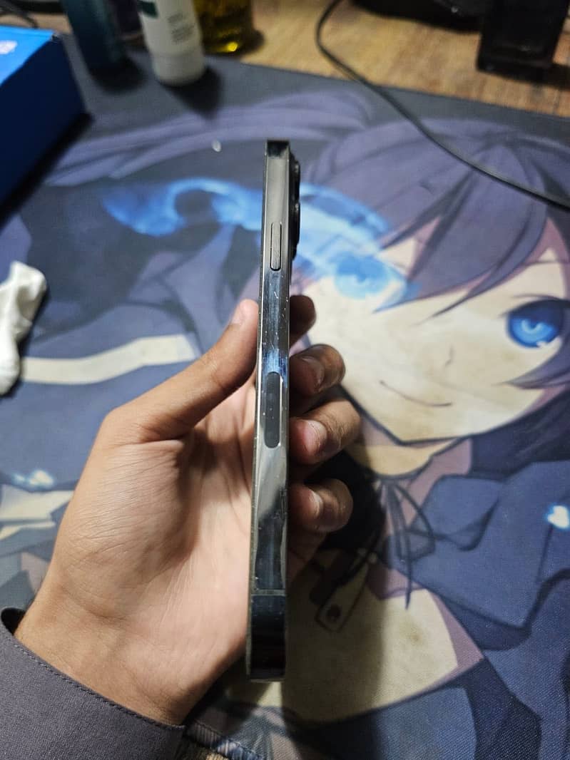 Apple iPhone 13 Pro Max 2
