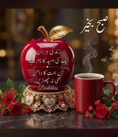 IMRAN ALI 