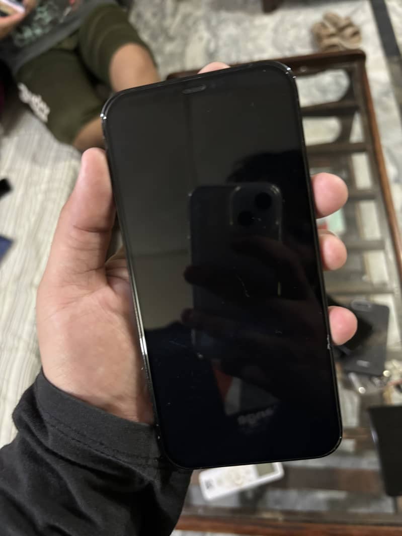 Apple iPhone 12 Pro Max 1
