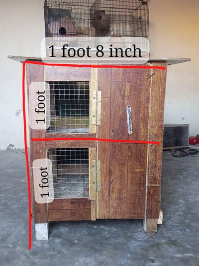 Pinjra for available
