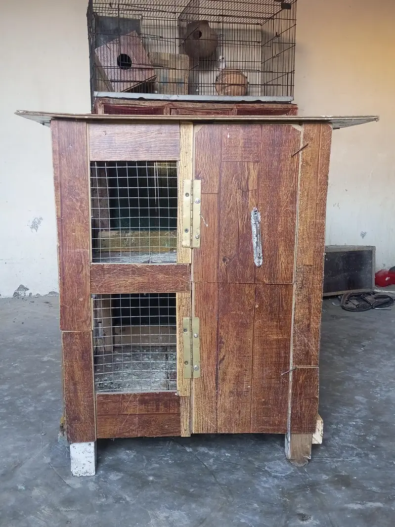 Pinjra for available — photo 3