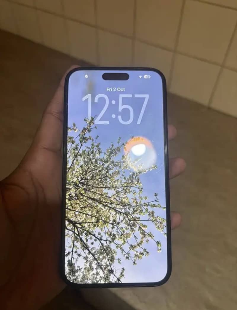 Apple iPhone 16 Plus 2