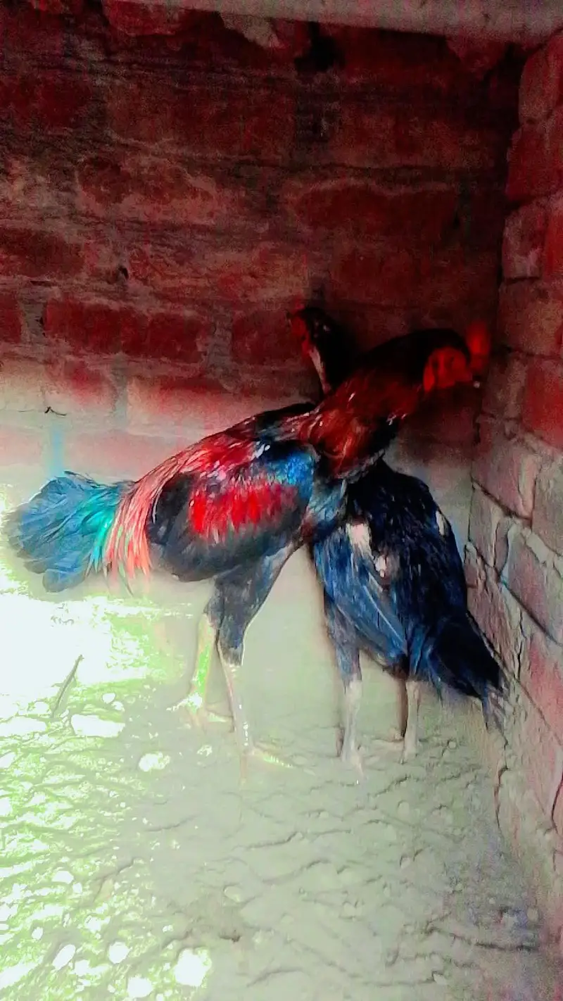 red colour — photo 3