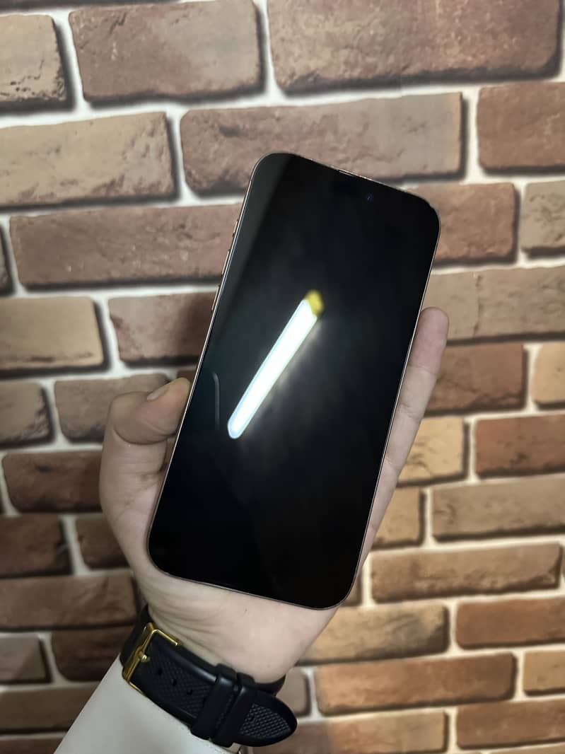 Apple iPhone 16 Pro Max 1