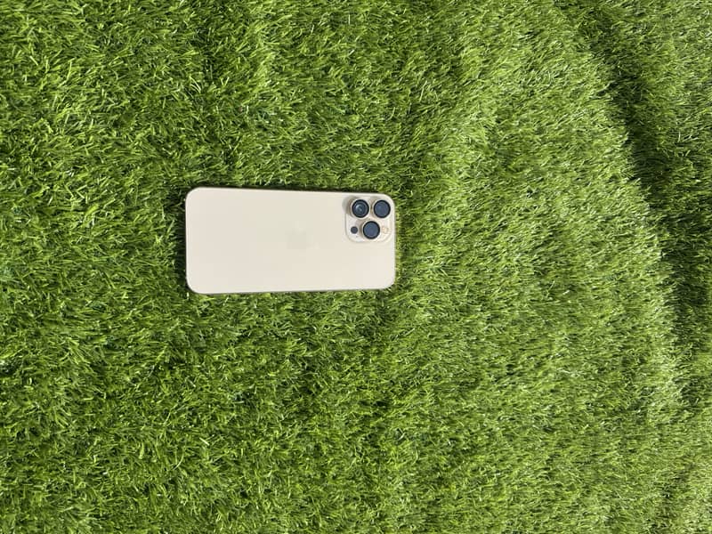 Apple iPhone 13 Pro Max 0