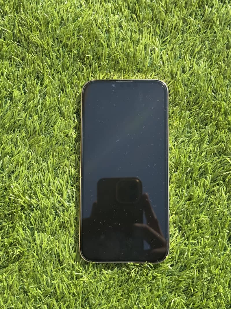 Apple iPhone 13 Pro Max 6