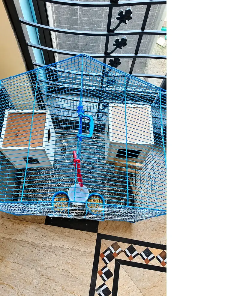Large Blue Bird Cage with 2 Nest Boxes – Excellent Condition — photo 2