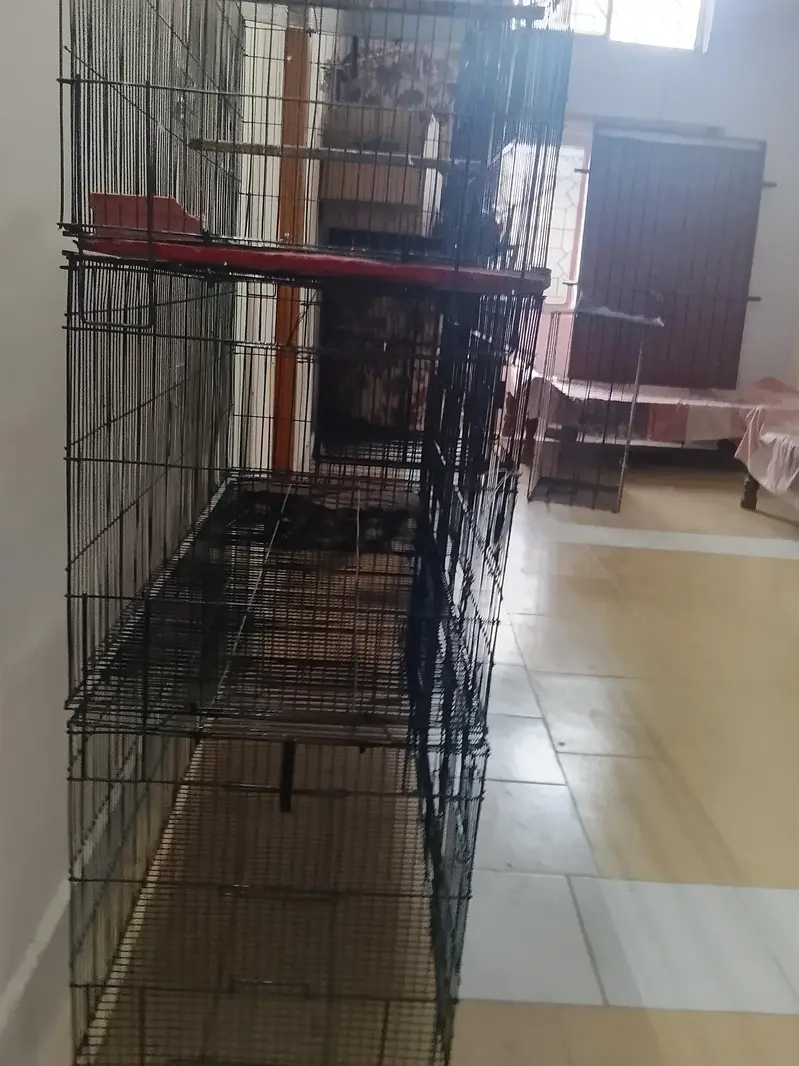 8 portion cage size 4/1.5/1.5 customize dy Ali cage — photo 5