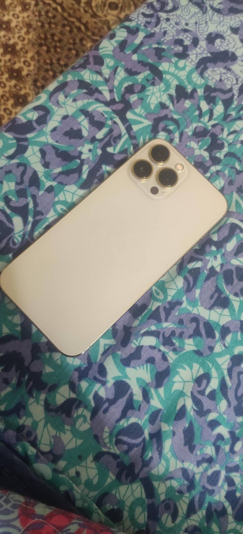 Apple iPhone 13 Pro Max 1