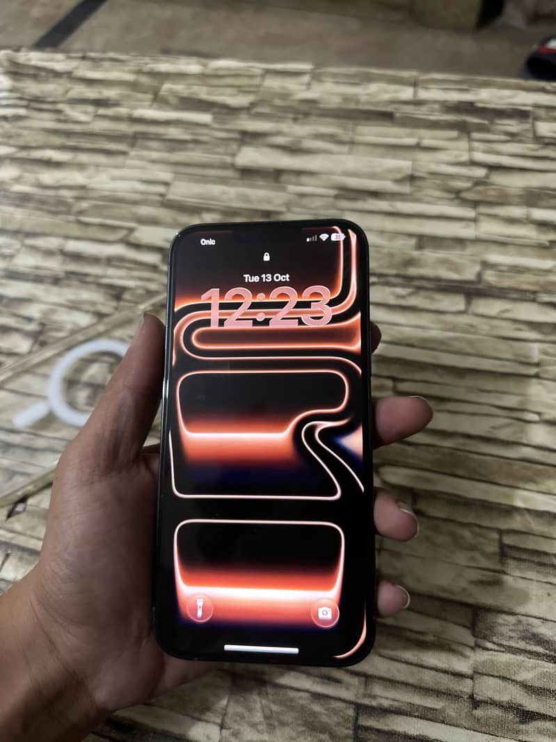 Apple iPhone 13 Pro Max 2
