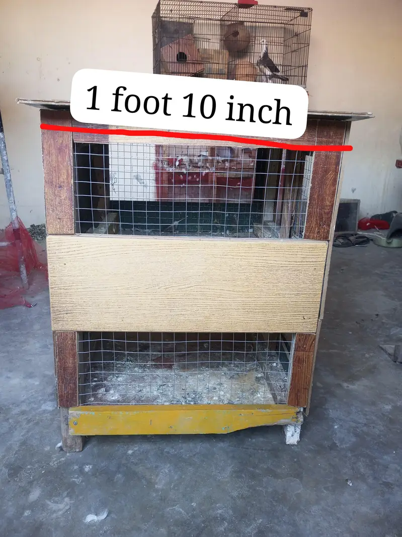 Cage for available — photo 2