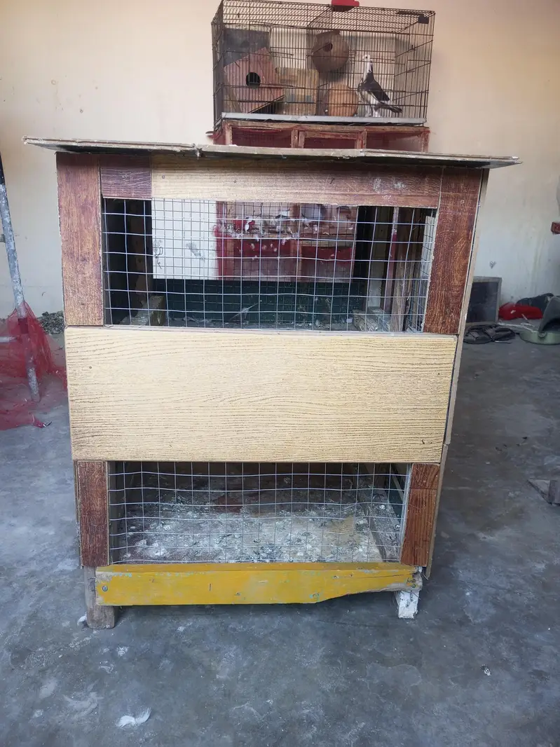 Cage for available — photo 6