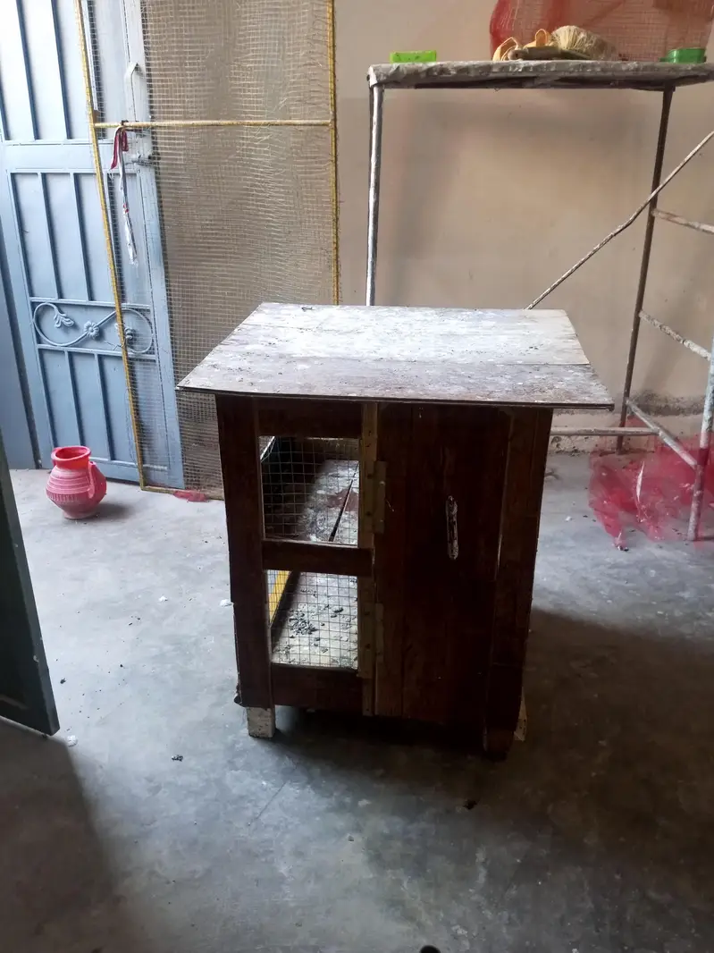 Cage for available — photo 9