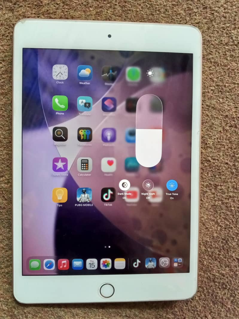 ipad mini5 0