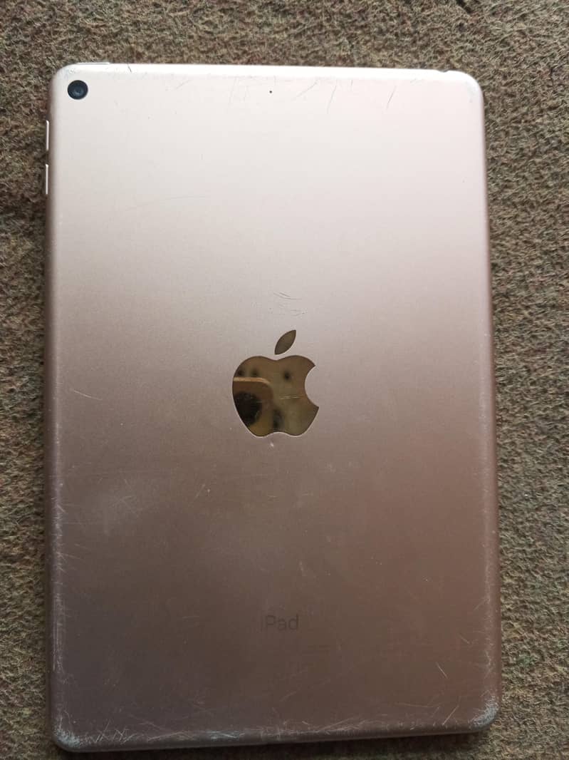 ipad mini5 1