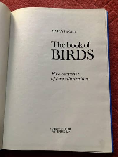 Book of Birds – A. M. Lysaght | Large Vintage Hardcover Book
