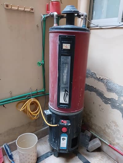 Gyzer For Sale