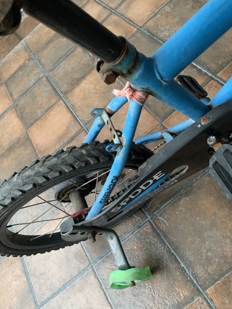 Cycle 4