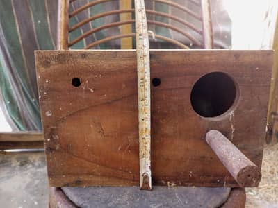 Premium Quality bird's breeding boxes ( Love birds cocktail ringneck )