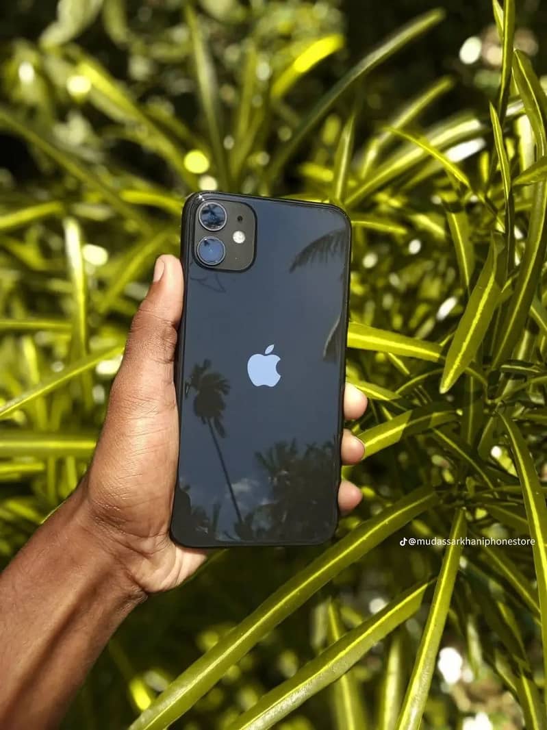 Apple iPhone 11 0