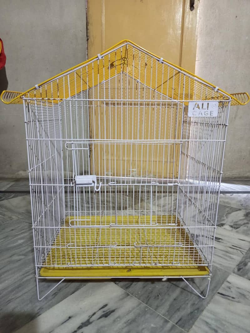 only cage Ali Baird - Parrots - 1120492326