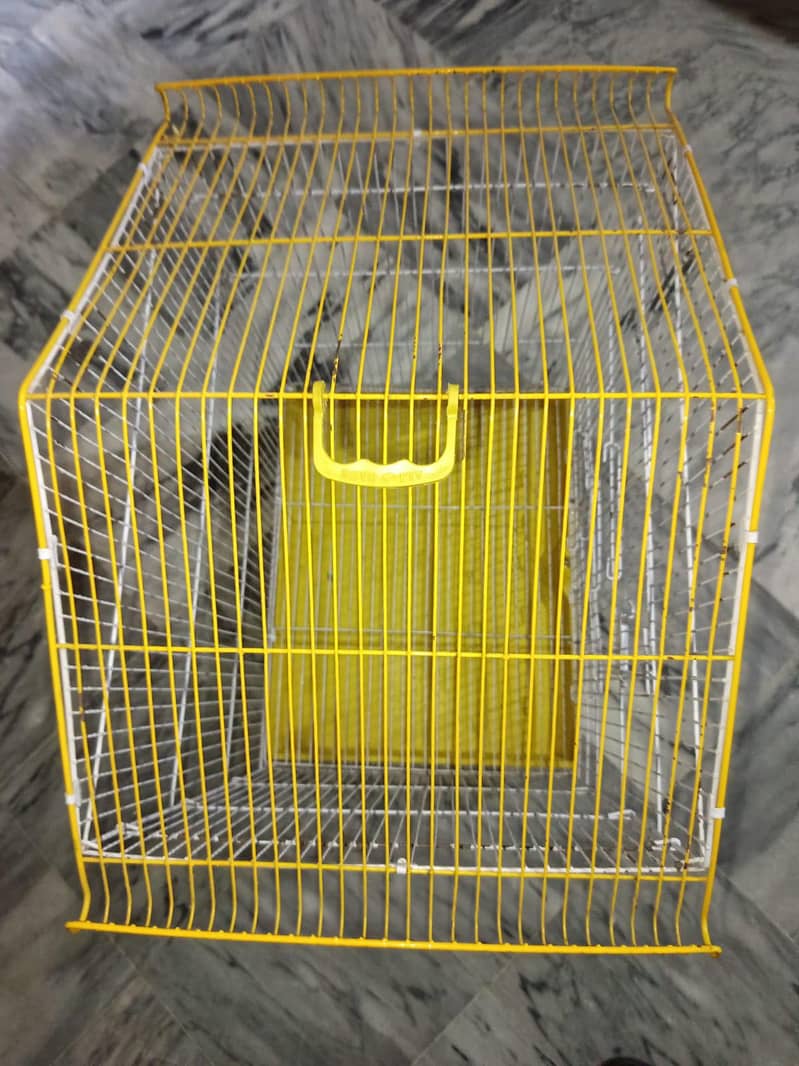only cage Ali Baird - Parrots - 1120492326