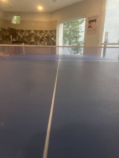 Table tennis table