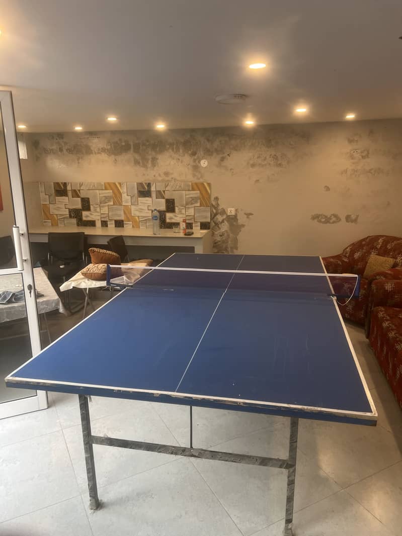 Table tennis table 3