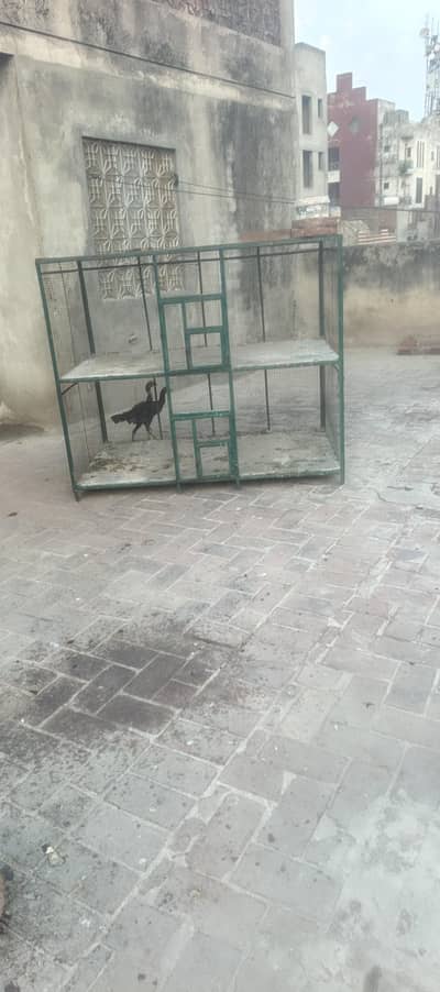 iron cage for sale