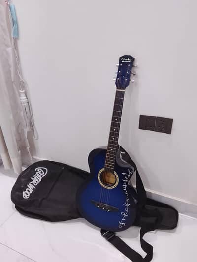 6-string acoustic guitar